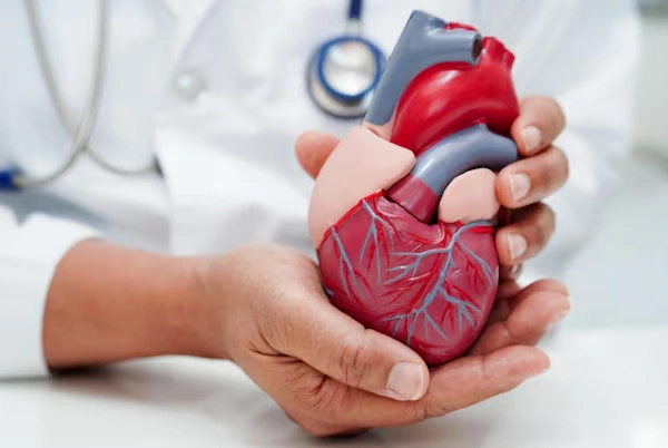 Non Invasive Cardiology
